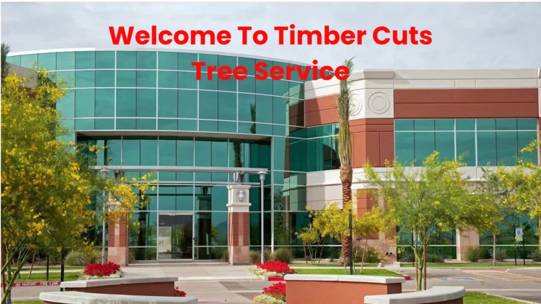 ⁣Timber Cuts Tree Service : Tree Removal in Salt Lake County, UT