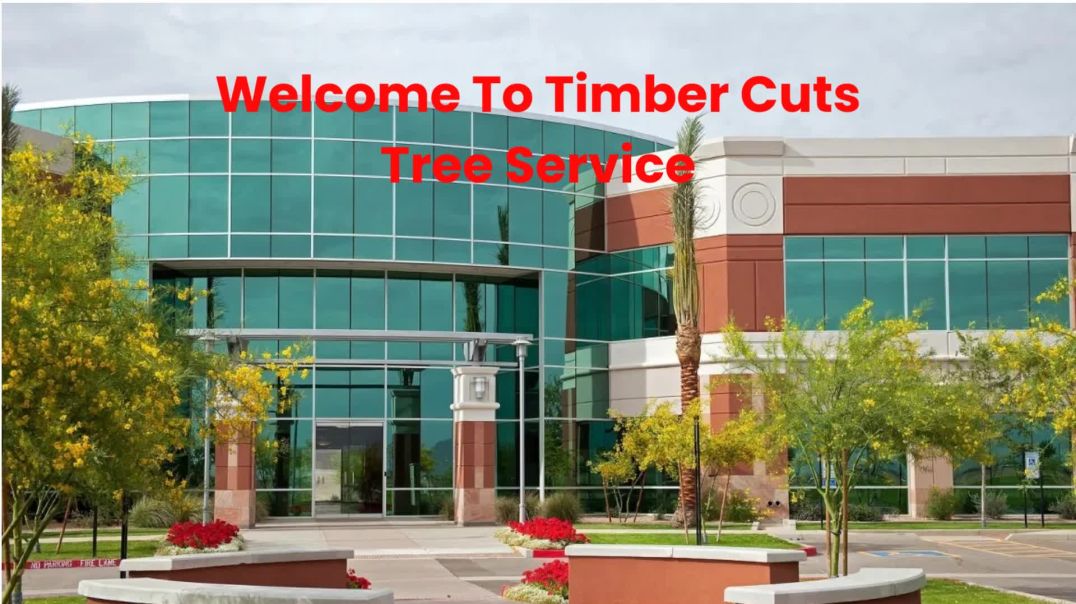 ⁣Timber Cuts Tree Service : Tree Pruning in Weber County, UT