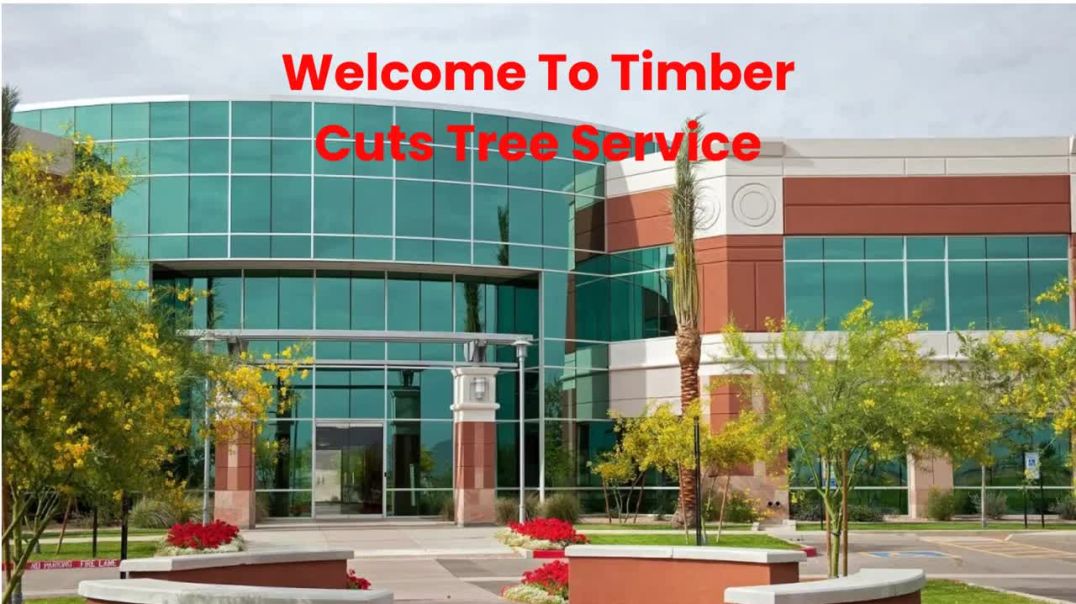 ⁣Timber Cuts Tree Service : Tree Removal in Layton, UT