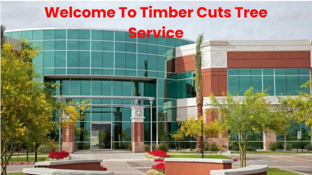 Timber Cuts Tree Service : Tree Trimming in Bountiful, UT