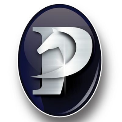 Precision Equine Solutions