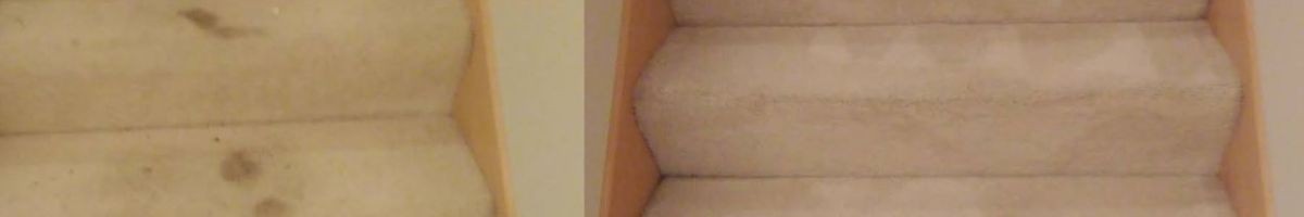My Trusted Carpet Cleaners 