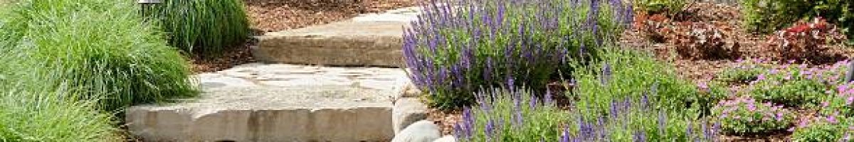 Oceanic Landscaping 